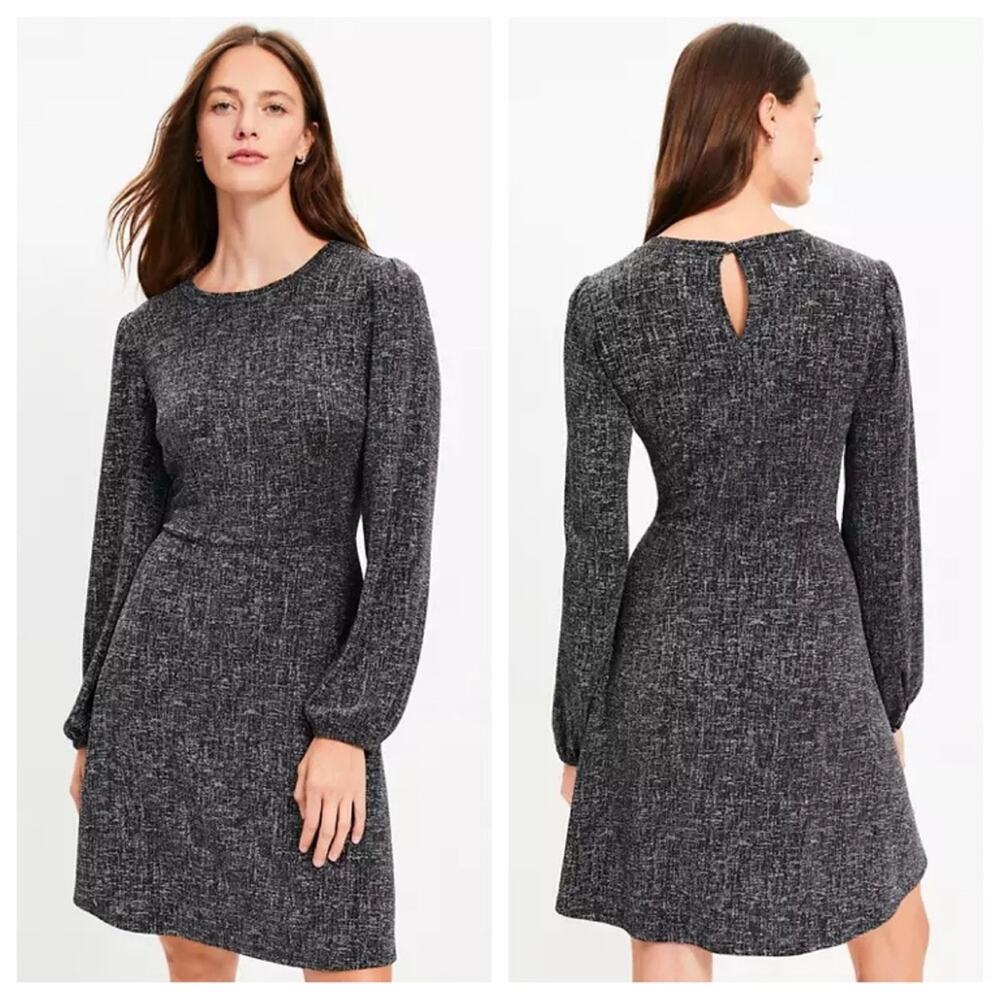 NWT LOFT Metallic Mini Flare Dress - Size L